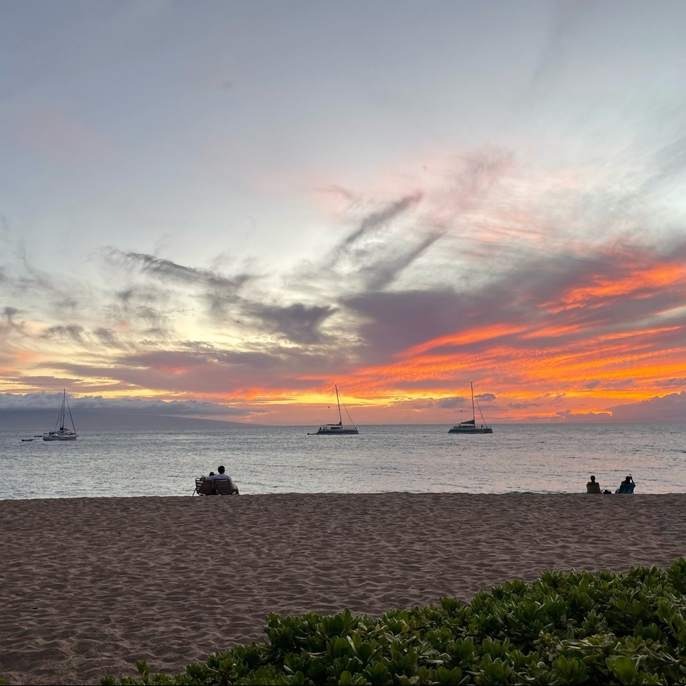 Meet your Posher, Simone